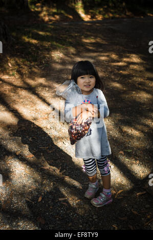 High angle view of girl holding sac avec des châtaignes en forêt Banque D'Images