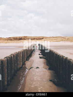 Pays-bas, vue le long de deux épis vers plage vide Banque D'Images