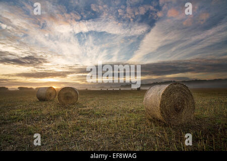 Lever de soleil sur un champ sur Cranborne Chase, Dorset, Angleterre, Royaume-Uni Banque D'Images