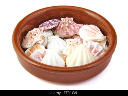 Coquilles de mer dans un bol pot sur fond blanc Banque D'Images