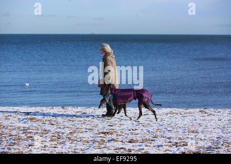 Edinburgh, Royaume-Uni. 29 janvier, 2015. Météo Édimbourg Royaume-uni : un chien walker à Musselburgh profitant de la météo. 0 degré de température lumineux avec sunny le 29/01/2015. Credit : Pako Mera/Alamy Live News Banque D'Images