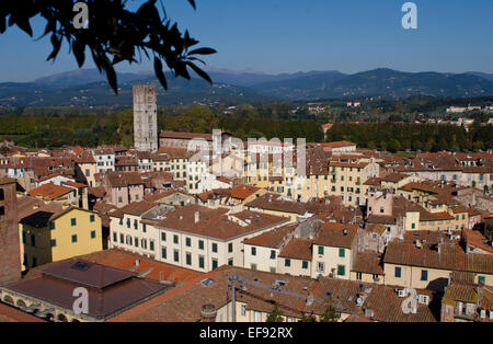 Vue du haut de la tour Guinigi montrant l'Amphithéâtre Romain à Lucca, Toscane, Italie Banque D'Images