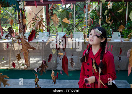 Jeune fille à la recherche de l'affichage des feuilles dans les jardins botaniques de Lucques, Toscane, Italie Banque D'Images