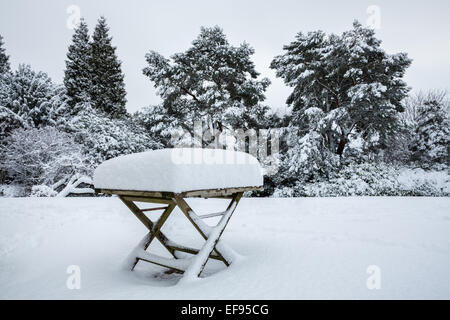 Sheffield, Royaume-Uni. 29 janvier, 2015. Les rigueurs de l'hiver dans la région de Sheffield, Royaume-Uni, fortes chutes de neige le 29 janvier 2015, la transformation du paysage mais laissant de nombreuses écoles fermées et les routes inutilisables. La profondeur de neige qui est tombée au cours des 24 dernières heures, peut être vu ici sur une table de jardin dans le Fulwood de la ville. Credit : Graham Dunn/Alamy Live News Banque D'Images