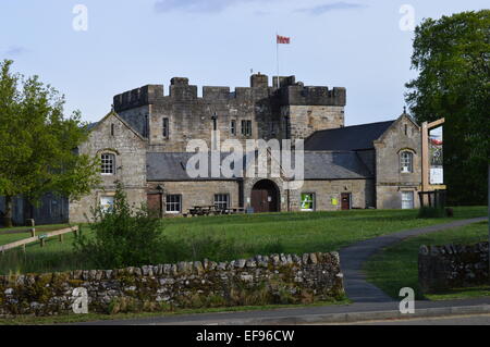 Château de Kielder Commissions forestières dans le Northumberland Banque D'Images