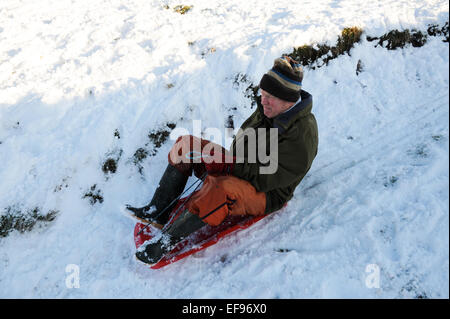 Pensionné âgé de 77 la luge dans Bilsdale, Yorkshire du Nord. Banque D'Images