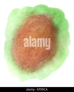 Le vert et le brun aquarelle blob, isolated on white Banque D'Images