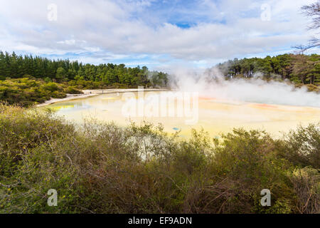 Palette de l'artiste au cratère du Parc Thermal de Waiotapu, un bon bassin avec de l'eau acide, les dépôts de minéraux de silice colorée. Banque D'Images