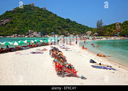 Les touristes de l'ouest de soleil sur plage de Ko Nang Yuan / Nangyuan, petite île près de Ko Tao le long de la côte du golfe du Mexique Central, Thaïlande Banque D'Images