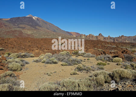 Volcan Teide Los Roques de Garcia, Llano de Ucanca, Las Cañadas del Teide, Banque D'Images