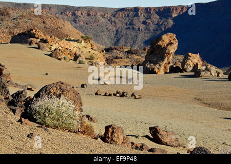 Champ de pierre ponce à Las Minas de San José, Las Cañadas del Teide, le Parc National du Teide, Site du patrimoine mondial par l'UNESCO, Tenerife, Banque D'Images