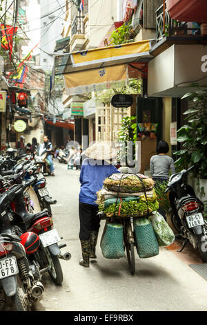 Scène de rue, vieux quartier (aka le 36 rues), Hanoi, Vietnam Banque D'Images