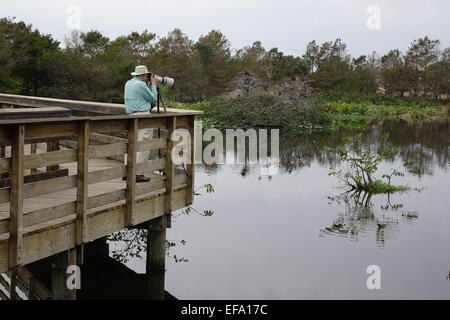 Photographe avec téléobjectif à Wakodahatchee Wetlands, Delray Beach, Palm Beach County, Floride Banque D'Images