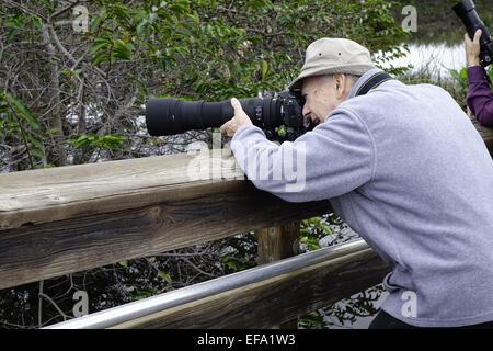 Photographe avec téléobjectif vérifiant les oiseaux à Wakodahatchee Wetlands, Delray Beach, Palm Beach County, Floride Banque D'Images