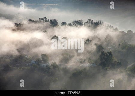 Soleil du matin dissipe le brouillard de mer autour des résidences de la vallée de la Couronne dans les régions côtières de Laguna Niguel, CA. Banque D'Images