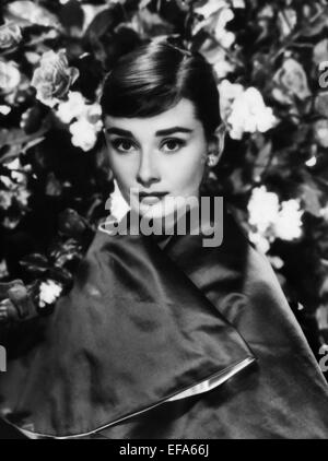 L'actrice Audrey Hepburn (1954) Banque D'Images