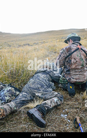 Hunter prend un coup de feu à un tahr de l'Himalaya à l'horizon dans les Alpes du sud de la Nouvelle-Zélande Banque D'Images