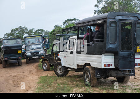 Les touristes dans des jeeps des embouteillages tout en chassant la faune, en particulier le léopard,en boîtes de véhicules.Parc national de Yala, au Sri Lanka. Banque D'Images