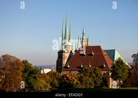 La Cathédrale St Mary et St Severus' Église sur Entreprise hill à Erfurt, Thuringe, Allemagne Banque D'Images