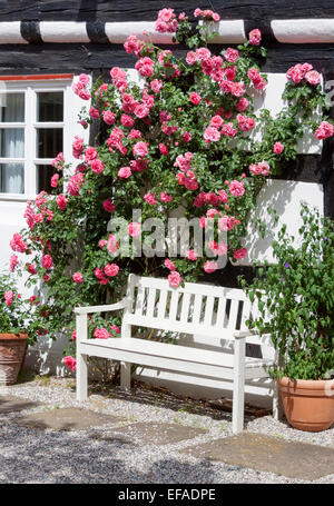 Banc de la rose et l'arbre en face d'une maison à colombages, dans le sud ouest, ouest, Rhénanie-Palatinat, Allemagne Banque D'Images