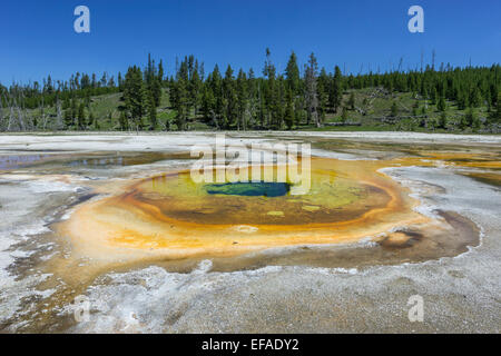 Piscine chromatique, le parc national de Yellowstone, Wyoming, united states Banque D'Images