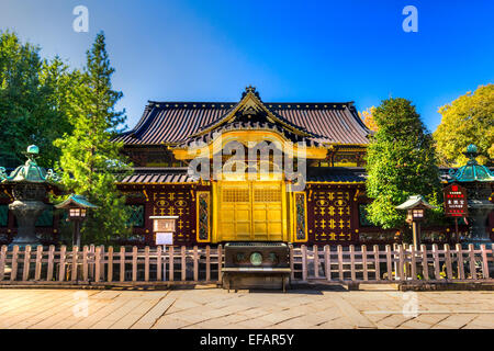 Tosho-Gu shrine à Ueno, Tokyo, Japon. Banque D'Images