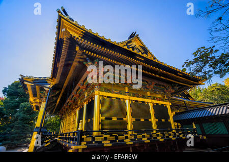 Tosho-Gu shrine à Ueno, Tokyo, Japon. Banque D'Images