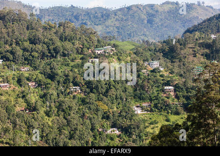 À Ville de Ella dans les hautes terres du Sri Lanka. Vue sur les arbres,randonnée Adam's Peak.green scenery.Hill,montagne,montage.Ella Gap. Banque D'Images