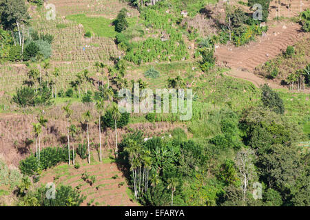 À Ville de Ella dans les hautes terres du Sri Lanka. Vue sur les arbres,randonnée Adam's Peak.green scenery.Hill,montagne,montage.Ella Gap. Banque D'Images