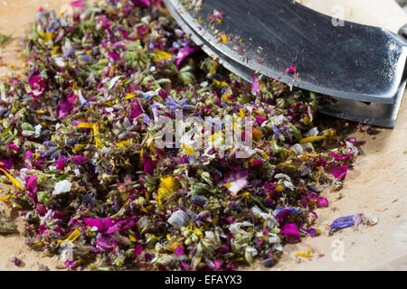 Fleurs, fleurs, fleurs, pétales, couteau hachoir, berceau de l'outil bascule, essbare Blumen Blüten, Ernte, Wiegemesser, Messer Banque D'Images