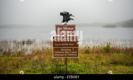 Les vautours panneau d'avertissement avec un vautour au-dessus d'elle dans le parc national des Everglades, Floride Banque D'Images