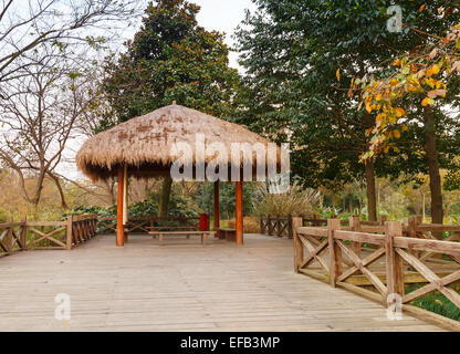 Sentier en bois et chinois traditionnel belvédère. Balade autour du célèbre Lac de l'Ouest à Hangzhou city, Chine Banque D'Images