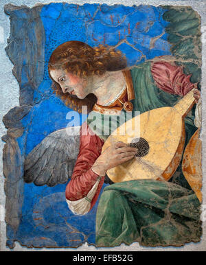 Ange Musicien (fresque), Forli, Melozzo da (1438-94) Pinacothèque Vatican Rome Italie Banque D'Images