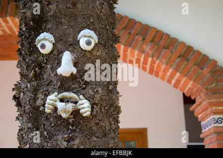 Oaxaca, Mexique - un visage sur un arbre dans la cour d'une maison mexicaine. Banque D'Images