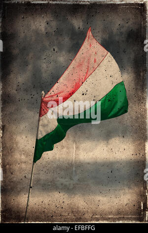 Old Grunge texture du pavillon de la Hongrie et de l'arrière-plan. Banque D'Images