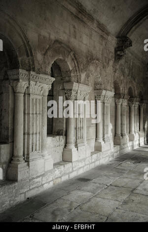 Cloître médiéval, Église Saint Trophime, Arles, France Banque D'Images