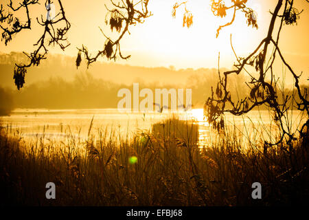 Paysage au coucher du soleil Banque D'Images