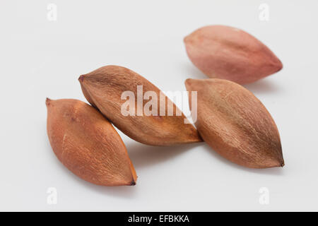 Pili-écrous Banque D'Images