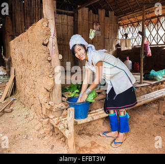 Jolie jeune femme long cou birmane Padong Karen dans village près de Chiang Rai, Thaïlande, laver les légumes dans une hutte de boue Banque D'Images