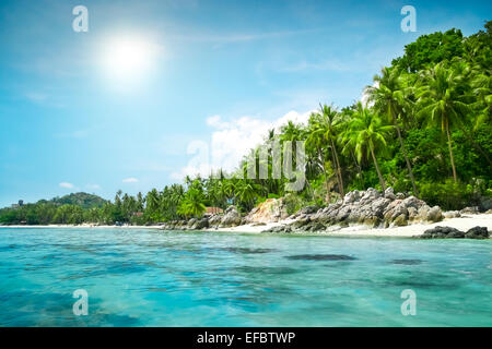 Paysage de l'île tropicale Banque D'Images