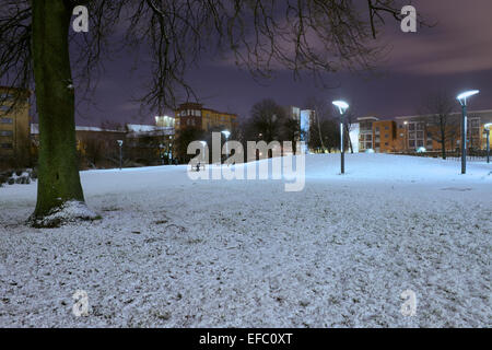 Jardin de roses, Gorbals de nuit après une chute de neige. Banque D'Images