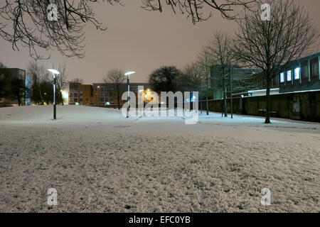 Jardin de roses, Gorbals de nuit après une chute de neige. Banque D'Images