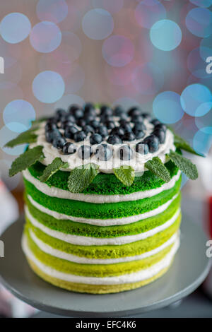 Belle éponge joyeux anniversaire avec gâteau mascarpone et raisins sur le stand de gâteaux de fête sur bokeh lumière Banque D'Images