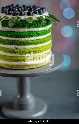 Belle éponge joyeux anniversaire avec gâteau mascarpone et raisins sur le stand de gâteaux de fête sur bokeh lumière Banque D'Images