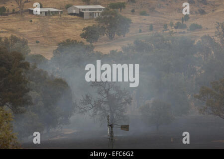 Une photographie de la suite d'un feu de brousse sur une ferme du centre de l'Australie à sec , de l'ouest. Banque D'Images