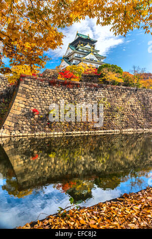 Le Château d'Osaka à Osaka, avec les feuilles d'automne. Le Japon. Banque D'Images