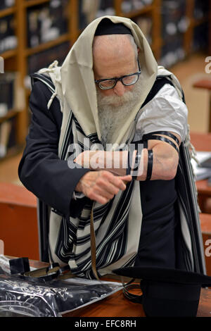 Un vieux juif religieux man putting sur phylactères tefillinn au matin contre une synagogue de Brooklyn, New York. Banque D'Images
