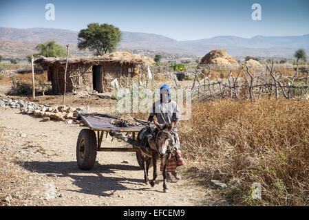 Âne tiré panier, région du Tigré, l'Afrique Banque D'Images