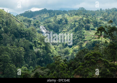 À Ville de Ella dans les hautes terres du Sri Lanka. Célèbre pour les plantations de thé et pour la randonnée et le vert paysage.Peu de Ravana Cascade. Banque D'Images