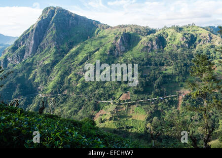 Avis d'Adam's Peak comme vu du haut du pic d'Adam peu. green scenery.Adam's Peak.Route de ella.Hill,montagne,montage.Ella Gap. Banque D'Images